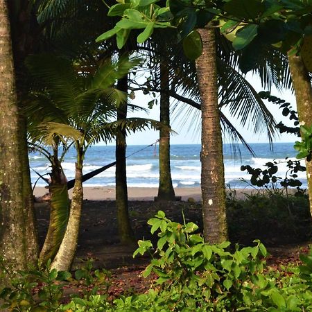 Hotel Pura Natura Beachfront Tortuguero Exteriör bild