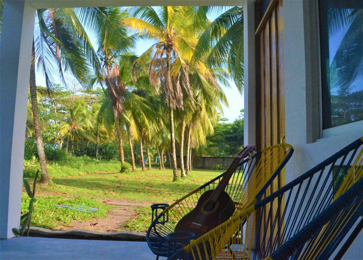 Hotel Pura Natura Beachfront Tortuguero Exteriör bild