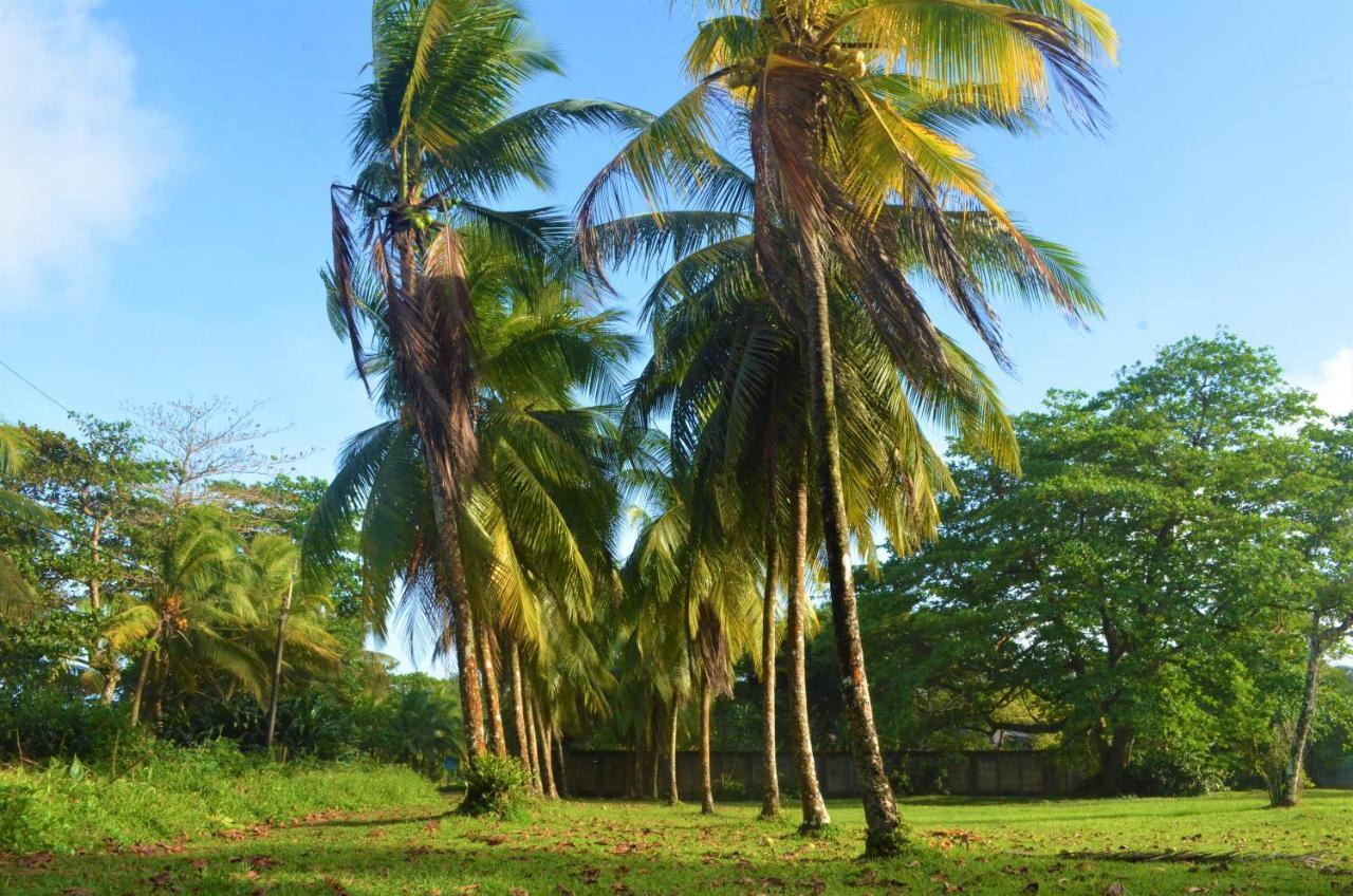 Hotel Pura Natura Beachfront Tortuguero Exteriör bild