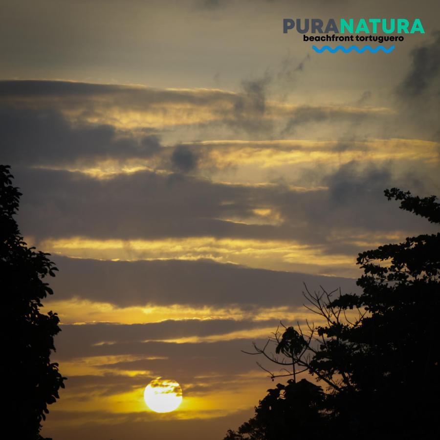 Hotel Pura Natura Beachfront Tortuguero Exteriör bild