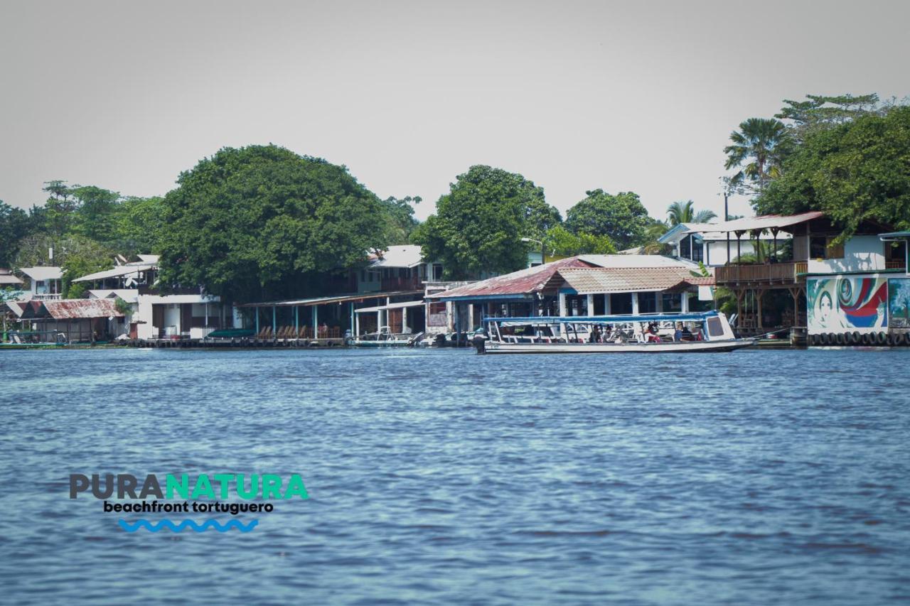 Hotel Pura Natura Beachfront Tortuguero Exteriör bild