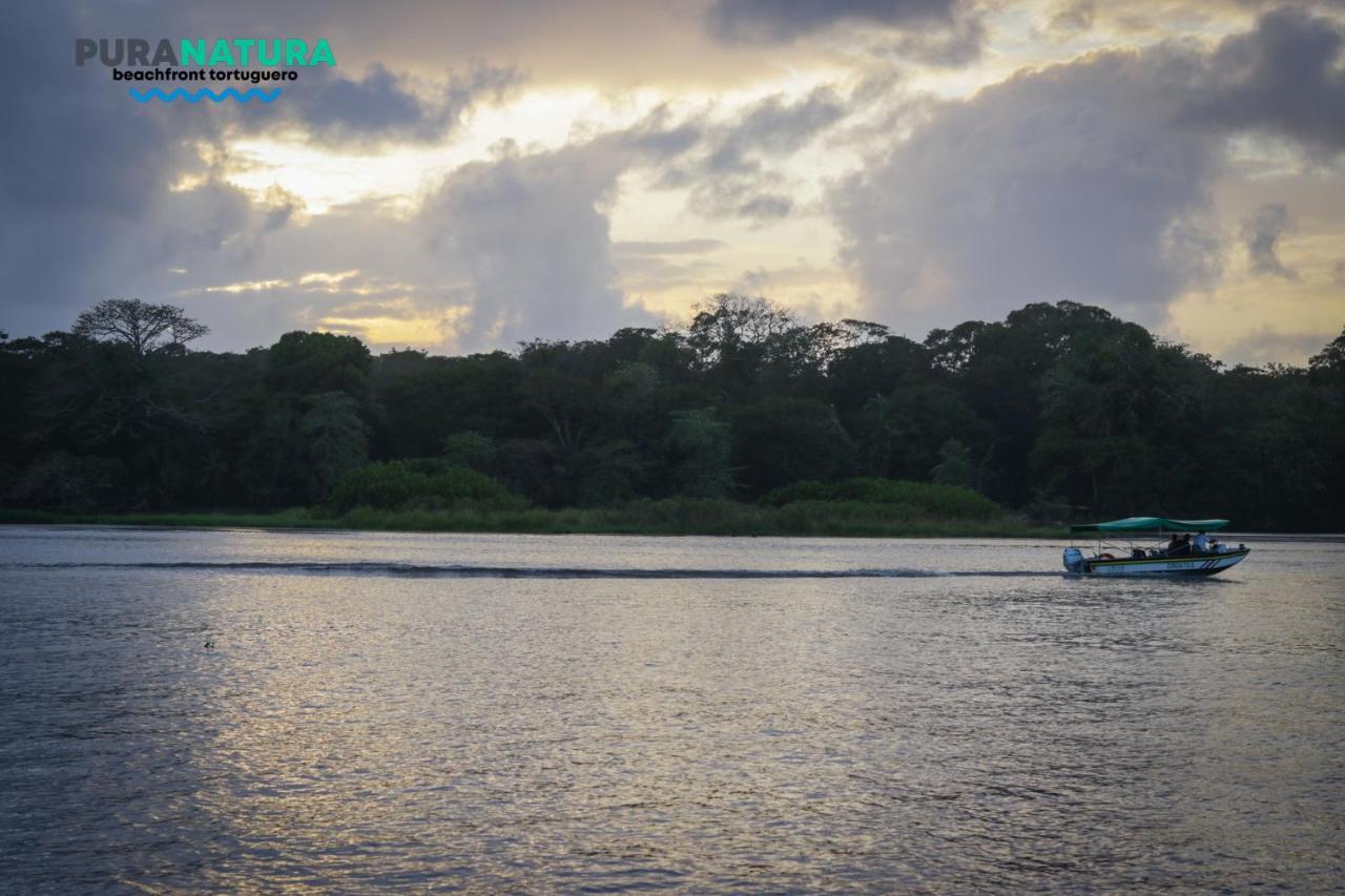 Hotel Pura Natura Beachfront Tortuguero Exteriör bild