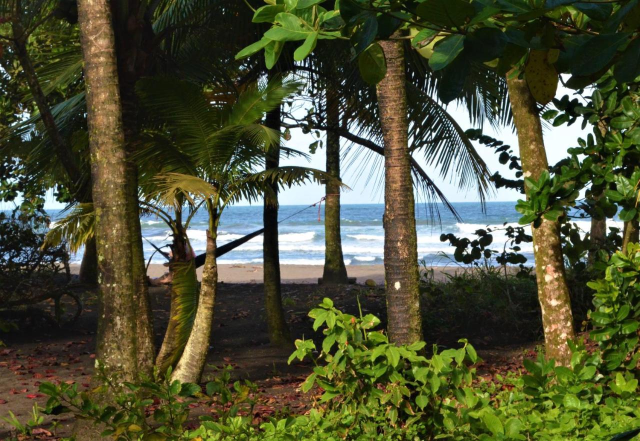 Hotel Pura Natura Beachfront Tortuguero Exteriör bild