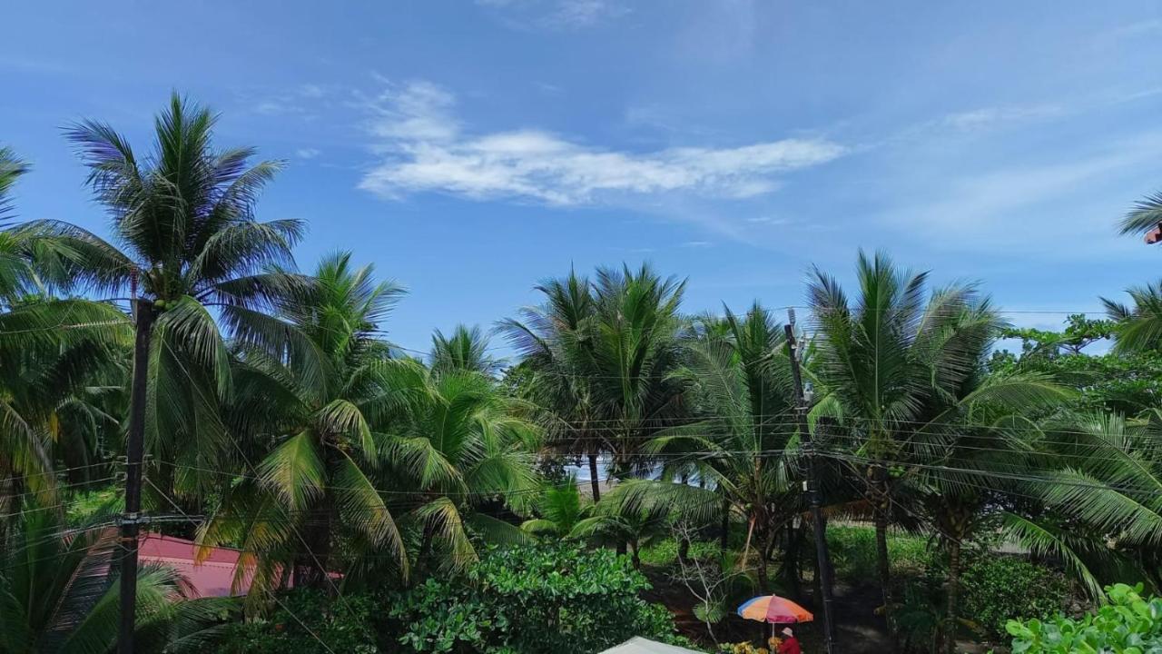 Hotel Pura Natura Beachfront Tortuguero Exteriör bild