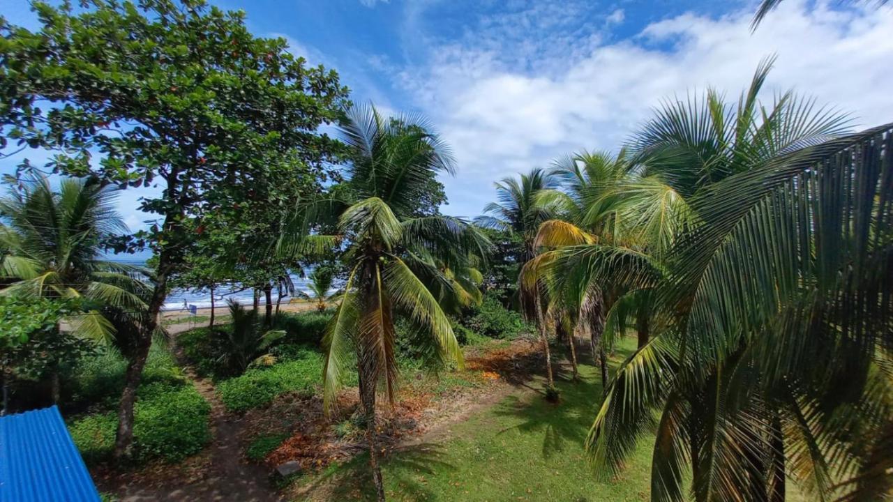 Hotel Pura Natura Beachfront Tortuguero Exteriör bild