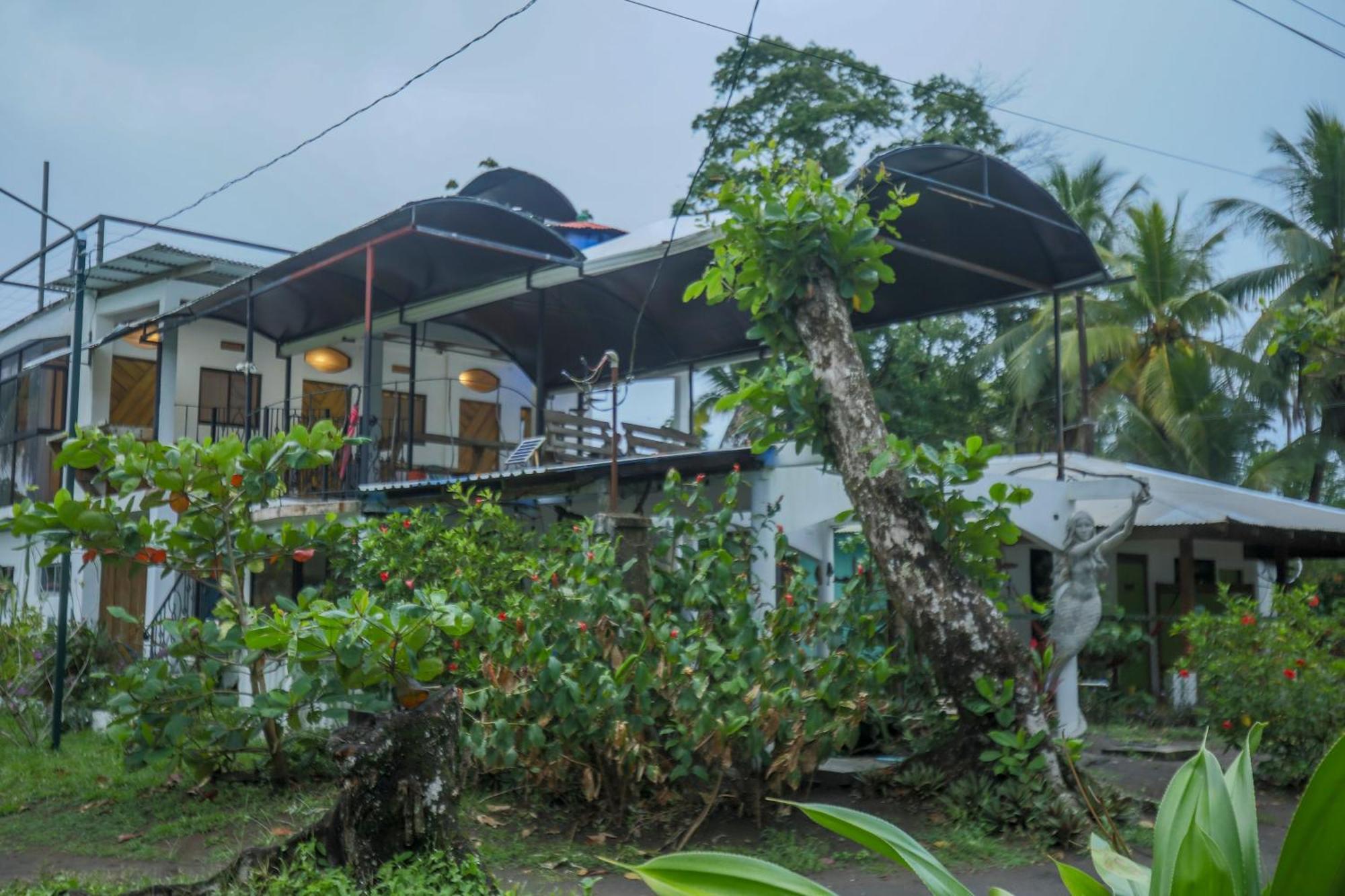 Hotel Pura Natura Beachfront Tortuguero Exteriör bild