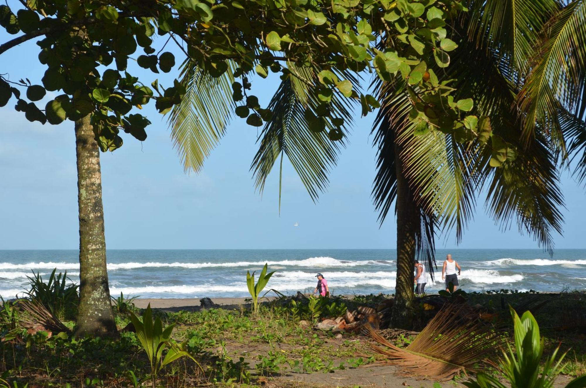Hotel Pura Natura Beachfront Tortuguero Exteriör bild
